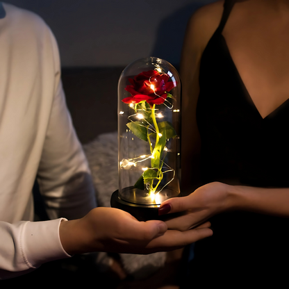 Večna ruža u staklenom zvonu