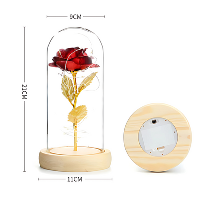 Večna ruža u staklenom zvonu